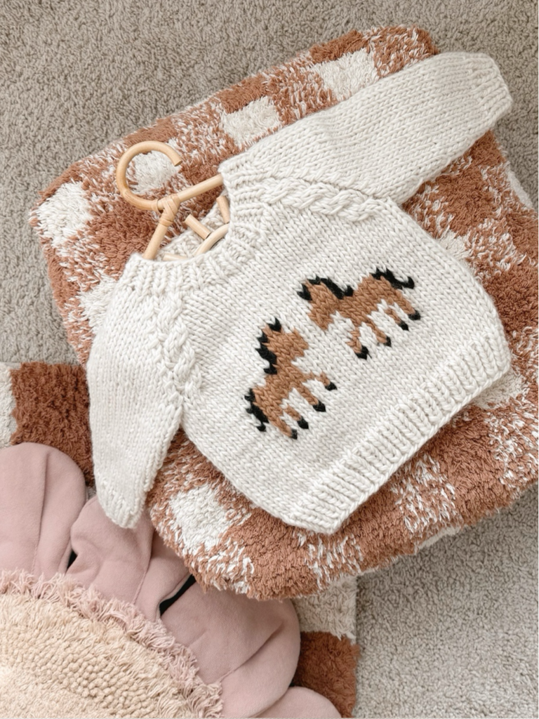 Horse Sweater