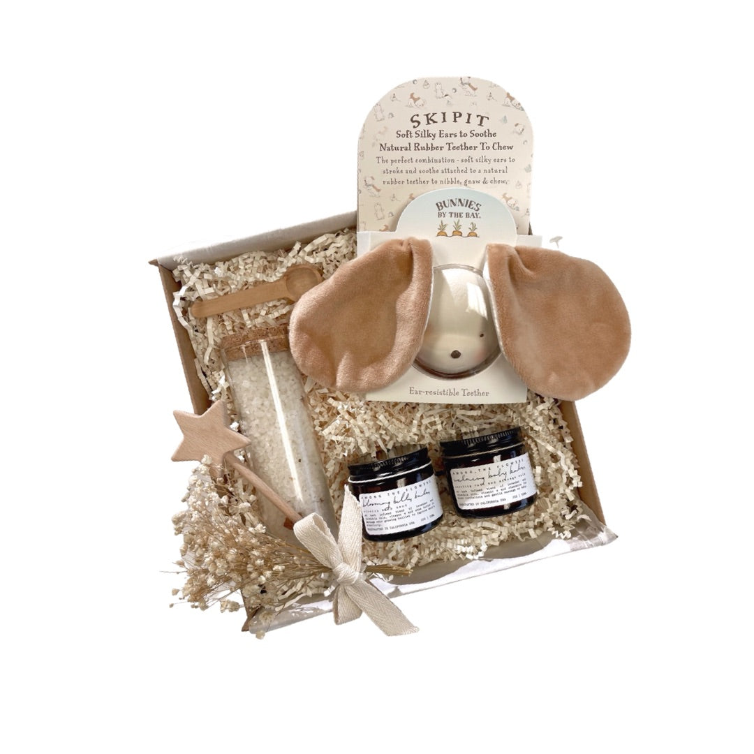 Skipit Ear Resistible Baby Teether