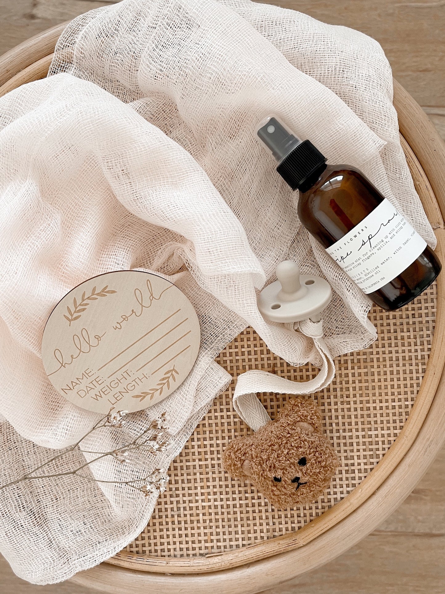 Baby Milestone “Hello World”