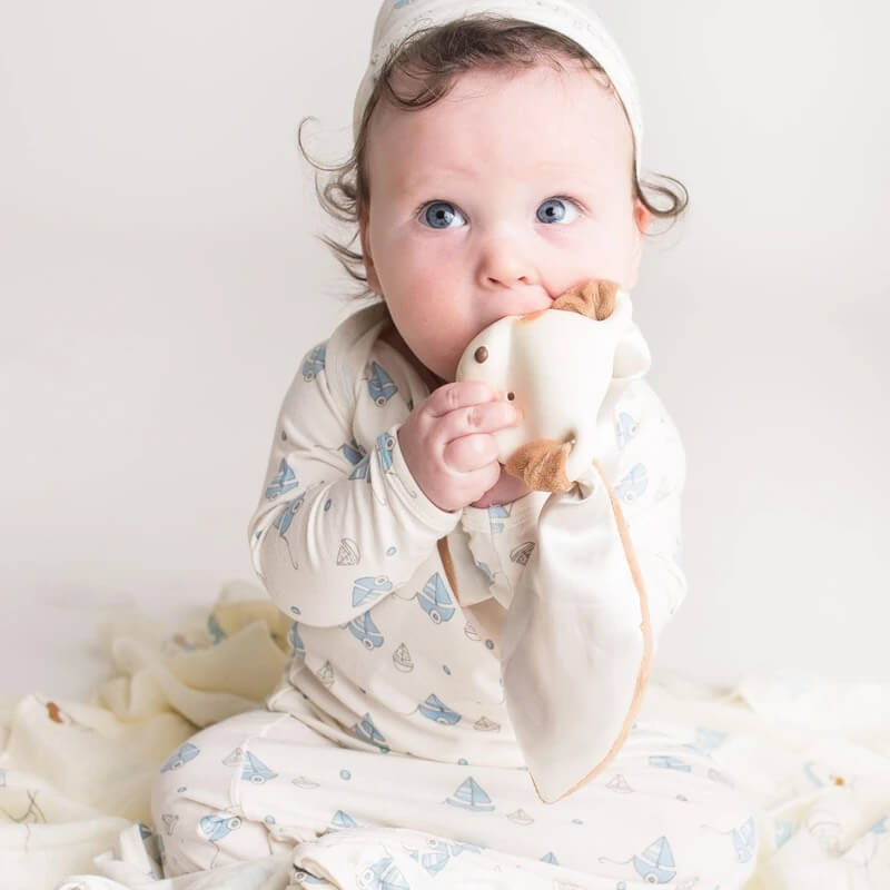 Skipit Ear Resistible Baby Teether