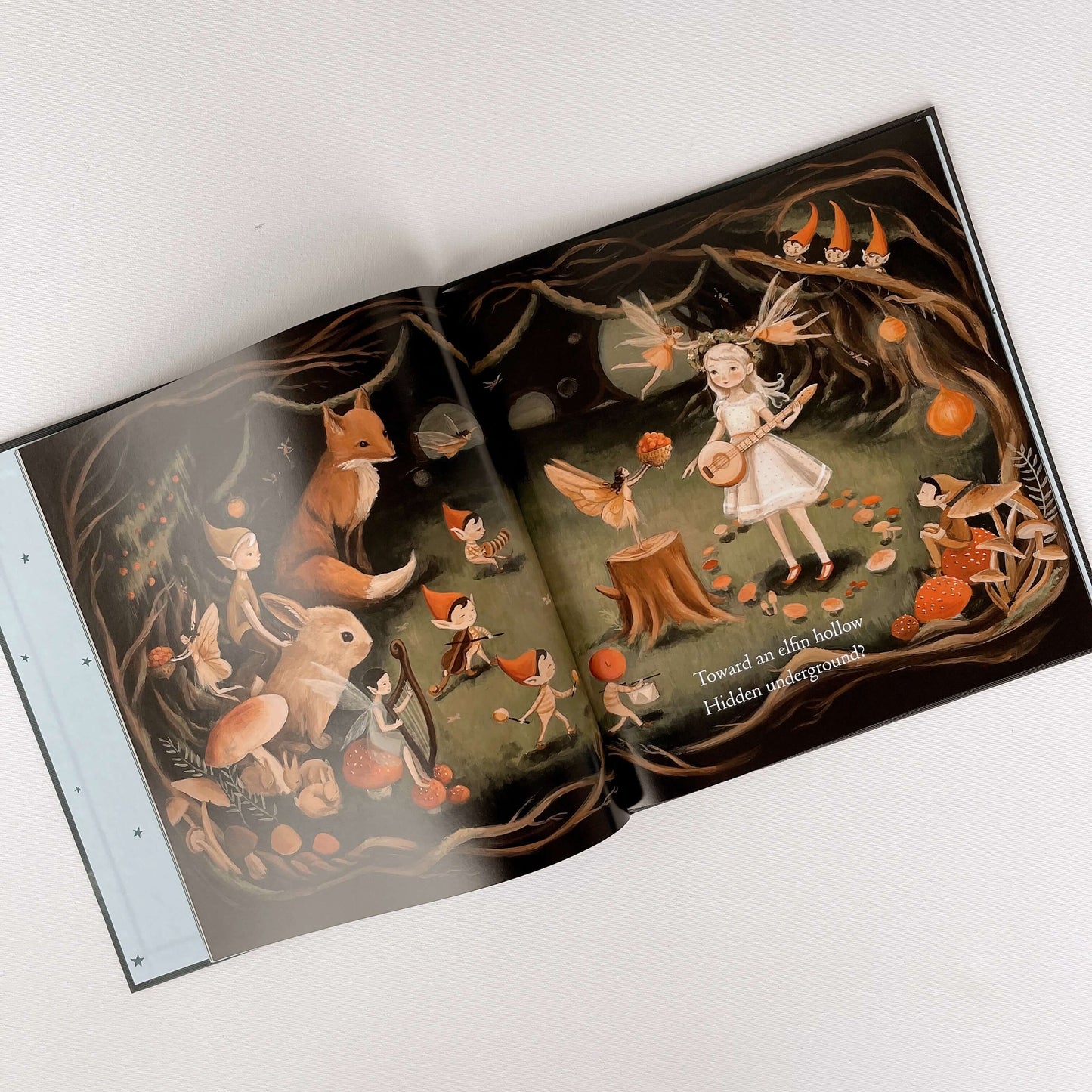 Dream Animals Book